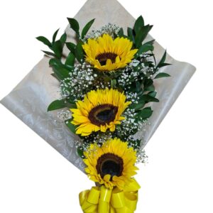Ramo 028