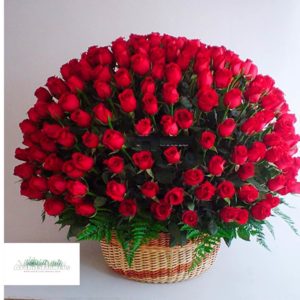 Producto