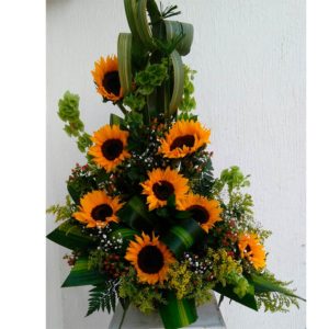 Producto
